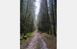 Retour du séjour à Fournols d’Auvergne 