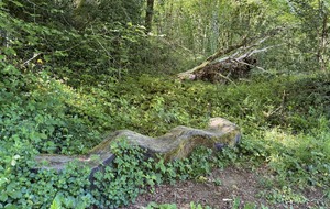 69ef0a6688422_IMG7788.jpg