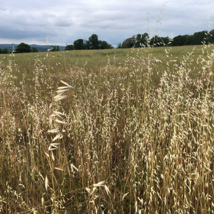 Le 30/5/26 à Floirac