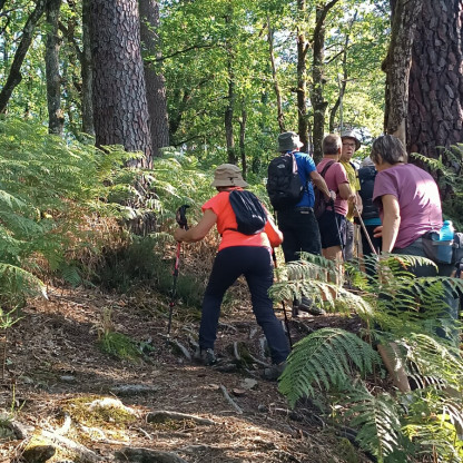Le 17/6/26 à St Antoine les plantades