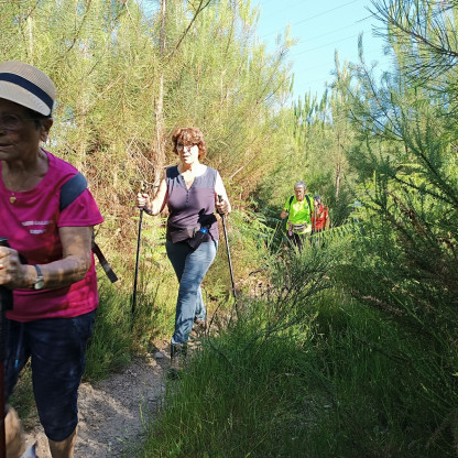 Le 17/6/26 à St Antoine les plantades