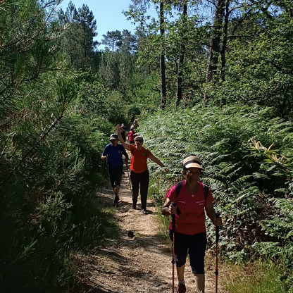 Le 17/6/26 à St Antoine les plantades