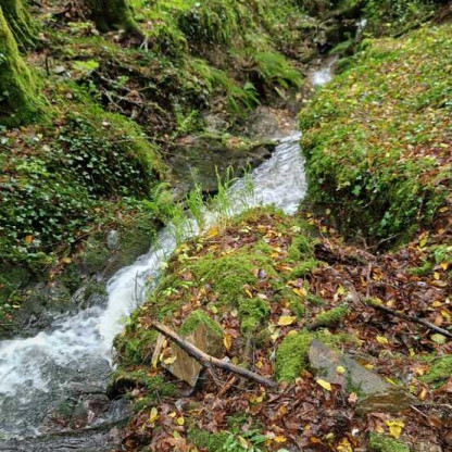 Le 25/10/26 à Tulle