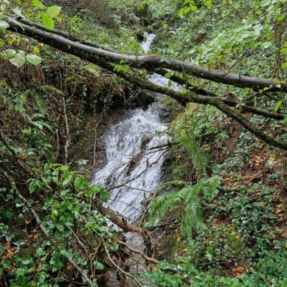 Le 25/10/26 à Tulle